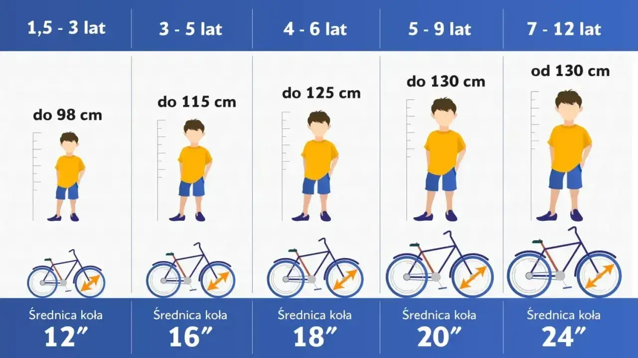 Tabela rozmiarów rowerów dla dzieci: wiek, wzrost i średnica koła. Dobierz odpowiednią ramę s na jaki wzrost dla swojego dziecka.