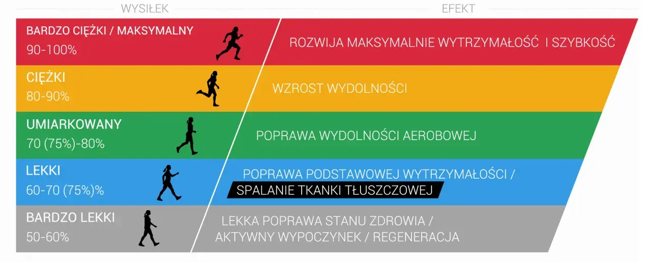 Grafika przedstawia poziomy intensywności wysiłku i ich efekty. Umiarkowany wysiłek (70-80%) poprawia strefę tętna aerobowego.