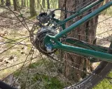 Tylna piasta rowerowa z przerzutką planetarną i hamulcem tarczowym na tle lasu.