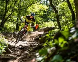 Rowerzysta MTB zjeżdża po kamienistym szlaku. Trudno określić jaka średnia prędkość na rowerze mtb, ale na pewno jest wysoka!