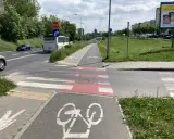 Pasy na ścieżce rowerowej prowadzą do przejścia dla pieszych. Obok droga z autobusem i samochodami.