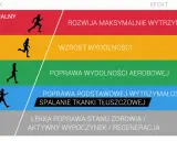 Grafika przedstawia poziomy intensywności wysiłku i ich efekty. Umiarkowany wysiłek (70-80%) poprawia strefę tętna aerobowego.