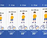 Tabela rozmiarów rowerów dla dzieci: rama M na jaki wzrost? Od 1,5 do 12 lat, z podziałem na wiek i wzrost, oraz średnicę kół.