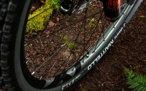 Koło rowerowe 700x25c z oponą Vittoria Martello na leśnej ścieżce.
