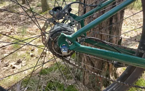 Tylna piasta rowerowa z przerzutką planetarną i hamulcem tarczowym na tle lasu.