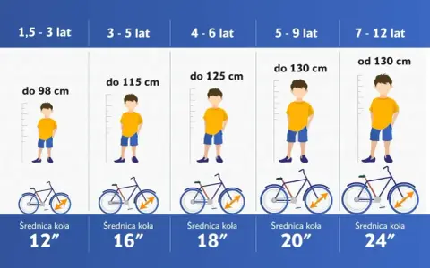Tabela rozmiarów rowerów dla dzieci: wiek, wzrost i średnica koła. Dobierz odpowiednią ramę s na jaki wzrost dla swojego dziecka.