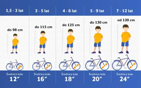 Tabela rozmiarów rowerów dla dzieci: wiek, wzrost i średnica koła. Dobierz odpowiednią ramę L dla swojego dziecka.