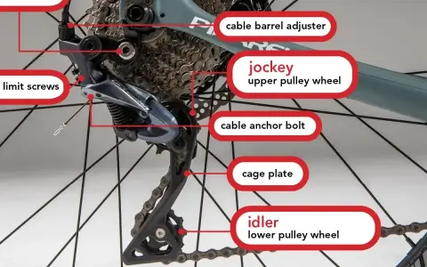 Szczegółowy widok przerzutek do roweru, z zaznaczonymi elementami: śruby, rolki (jockey, idler) i inne części.