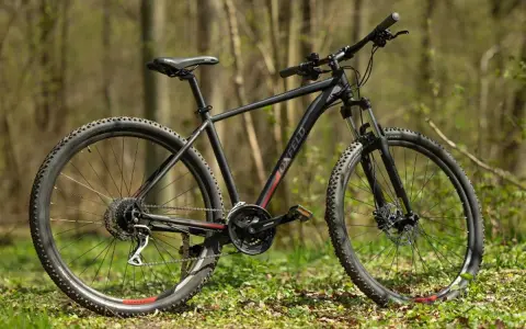 Czarny rower górski Oxfeld XC-6 gotowy na leśne ścieżki.