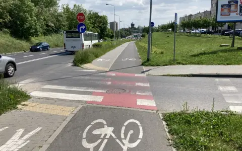 Pasy na ścieżce rowerowej prowadzą do przejścia dla pieszych. Obok droga z autobusem i samochodami.