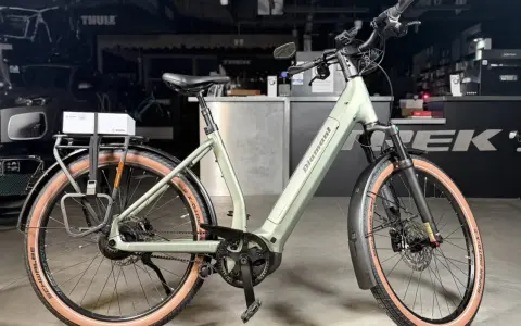 Stylowy, zielony rower elektryczny Diamant z bagażnikiem i ładowarką Bosch. Idealny na miejski trek 1120.