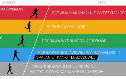 Grafika przedstawia poziomy intensywności wysiłku i ich efekty. Umiarkowany wysiłek (70-80%) poprawia strefę tętna aerobowego.