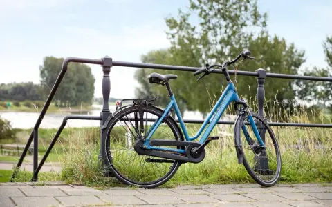 Idealny rower na długie trasy: błękitny Gazelle z bagażnikiem, gotowy na przygodę nad rzeką.