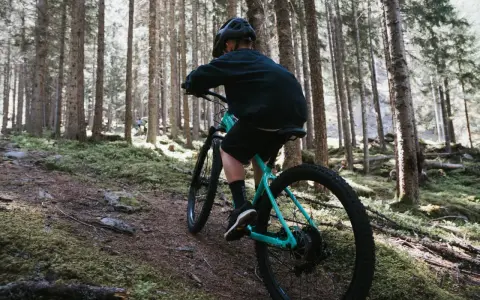 Rowerzysta w kasku przemierza leśny szlak. Czy to rower Altus czy Acera? Trudno powiedzieć, ale widok jest piękny.