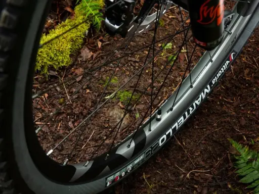 Koło rowerowe 700x25c z oponą Vittoria Martello na leśnej ścieżce.