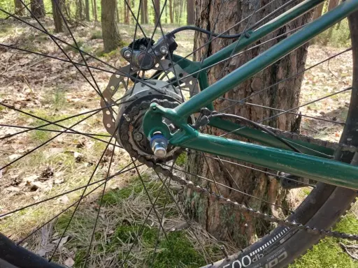 Tylna piasta rowerowa z przerzutką planetarną i hamulcem tarczowym na tle lasu.