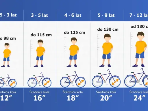 Tabela rozmiarów rowerów dla dzieci: wiek, wzrost i średnica koła. Dobierz odpowiednią ramę L dla swojego dziecka.