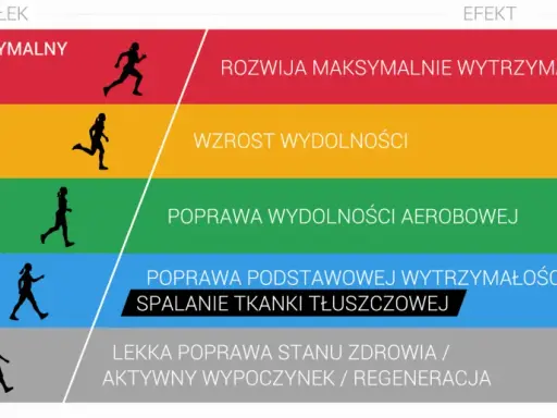 Grafika przedstawia poziomy intensywności wysiłku i ich efekty. Umiarkowany wysiłek (70-80%) poprawia strefę tętna aerobowego.