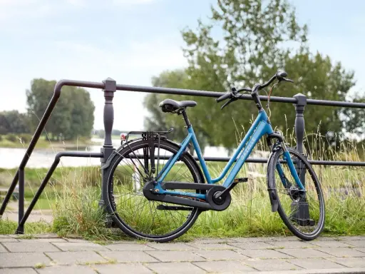 Idealny rower na długie trasy: błękitny Gazelle z bagażnikiem, gotowy na przygodę nad rzeką.