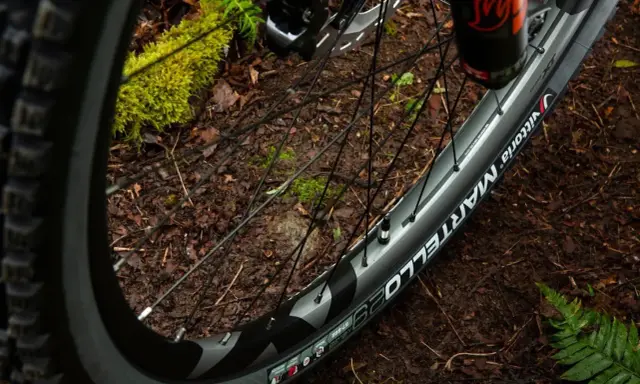 Koło rowerowe 700x25c z oponą Vittoria Martello na leśnej ścieżce.