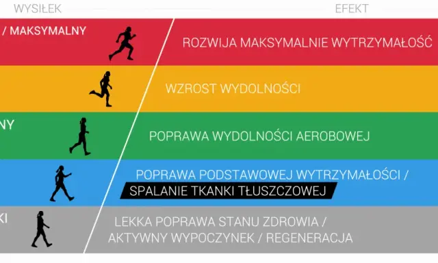 Grafika przedstawia poziomy intensywności wysiłku i ich efekty. Umiarkowany wysiłek (70-80%) poprawia strefę tętna aerobowego.