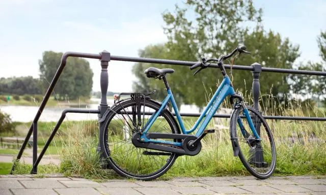 Idealny rower na długie trasy: błękitny Gazelle z bagażnikiem, gotowy na przygodę nad rzeką.