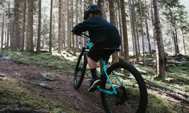 Rowerzysta w kasku przemierza leśny szlak. Czy to rower Altus czy Acera? Trudno powiedzieć, ale widok jest piękny.