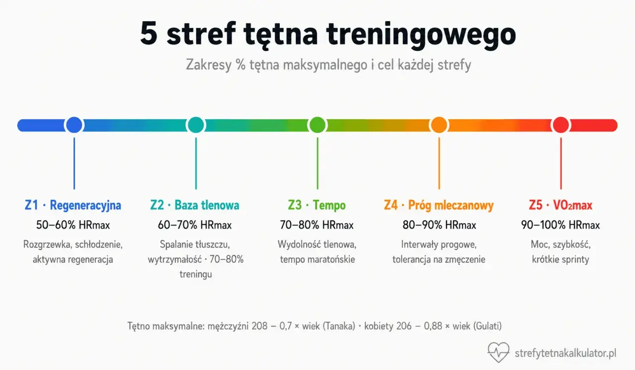 5 stref tętna treningowego: od regeneracji po VO2max. Wykres pokazuje zakresy % tętna maksymalnego dla każdej strefy.